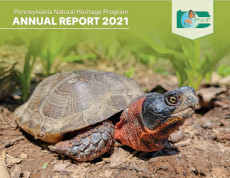 PNHP 2021 Annual Report