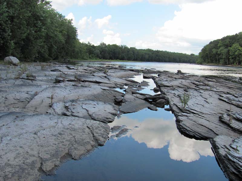 Floodplain Scour Community summary - Pennsylvania Natural Heritage Program