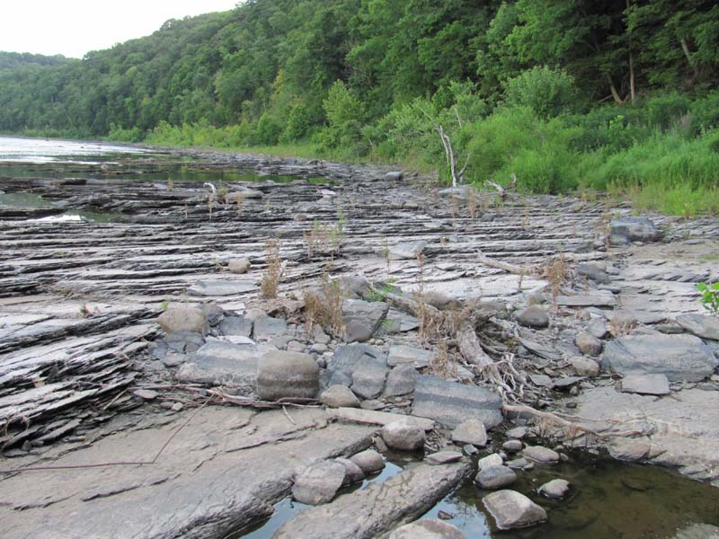 Floodplain Scour Community summary - Pennsylvania Natural Heritage Program