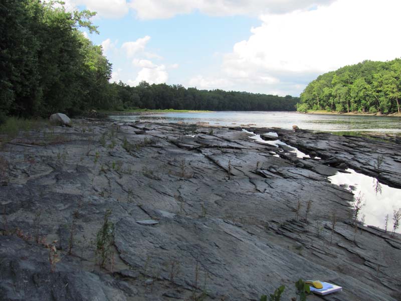 Floodplain Scour Community summary - Pennsylvania Natural Heritage Program