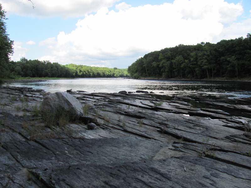 Floodplain Scour Community summary - Pennsylvania Natural Heritage Program