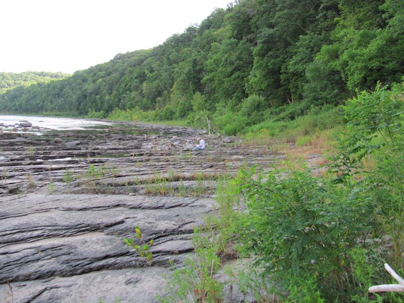 Floodplain Scour Community summary - Pennsylvania Natural Heritage Program