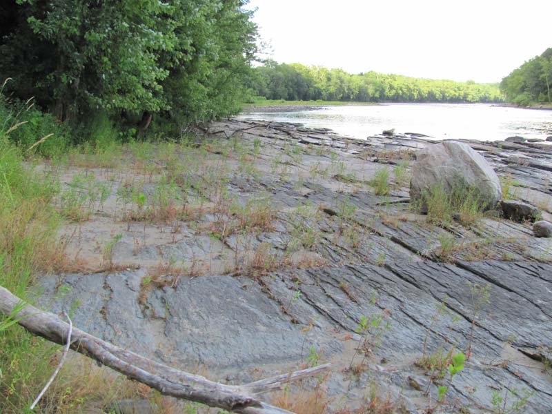 Floodplain Scour Community summary - Pennsylvania Natural Heritage Program